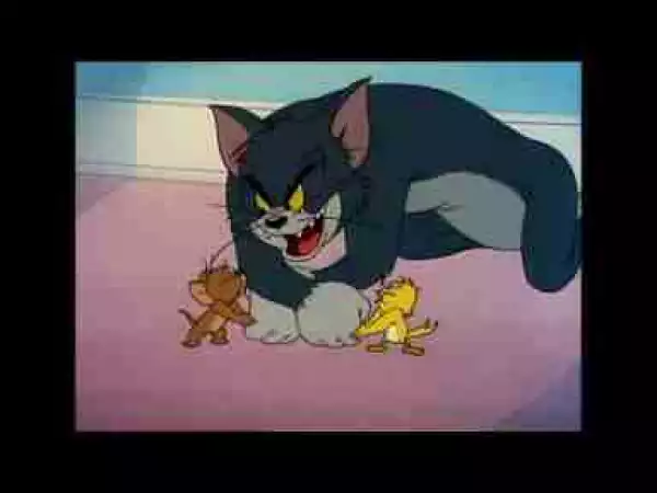 Video: Tom and Jerry, 34 Episode - Kitty Foiled (1948)
